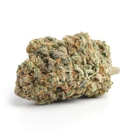 Cherry Bon Bon cannabis strain