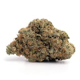 Cherry Chem cannabis strain
