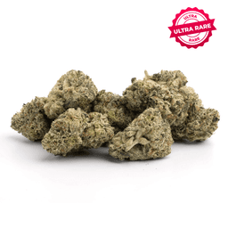 Cherry Cobbler cannabis strain