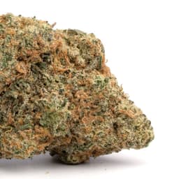 Cherry Cream Pie cannabis strain