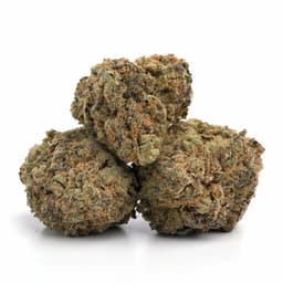 Cherry Do Si Dos cannabis strain