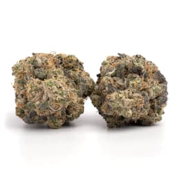 Cherry Driver #3 cannabis strain