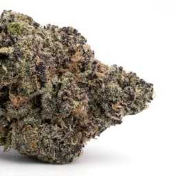 Cherry Garcia Band cannabis strain