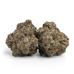 Cherry Gorilla cannabis strain