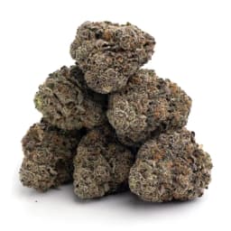 Cherry Kush cannabis strain