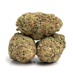 Cherry Pebble AK cannabis strain