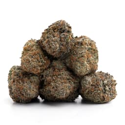 Cherry Popperz cannabis strain