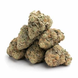 Cherry Pound Cake cannabis strain