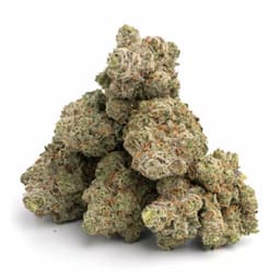 Cherry Punch cannabis strain