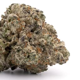 Cherry Tree cannabis strain