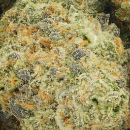 Cherry cannabis strain