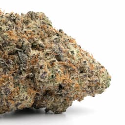 Chocolate Mint OG cannabis strain
