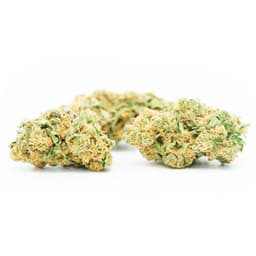 Church OG cannabis strain