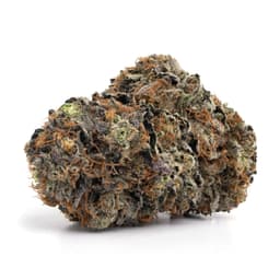 Cinderella 88 cannabis strain