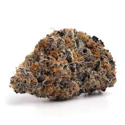 Citrus Farmer cannabis strain