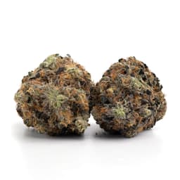 Code Orange cannabis strain