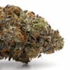Collie Man Kush cannabis strain
