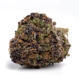 Congo cannabis strain