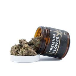 Congolese cannabis strain