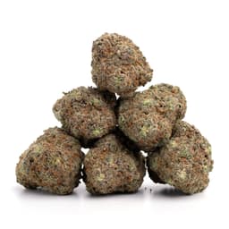 Cookie Hoe cannabis strain