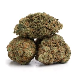 Cookie Stomper cannabis strain
