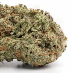 Cookie Supreme cannabis strain