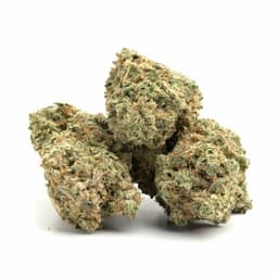 Cookie Tangie #5 cannabis strain