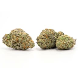 Cookies Supreme cannabis strain