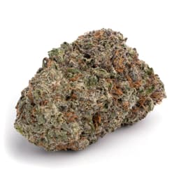 Cookies Tangie #5 cannabis strain