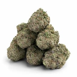 Cookies and Dream cannabis strain