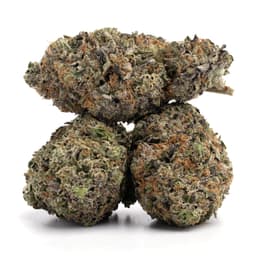 Cookies n Chem cannabis strain