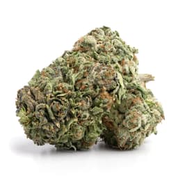 Cookies cannabis strain