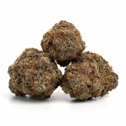 Corleone Kush cannabis strain