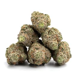 Corn Rose cannabis strain