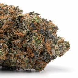 Cotton Candy OG cannabis strain