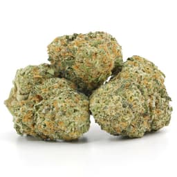Couchlock cannabis strain