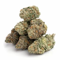 Cove OG cannabis strain