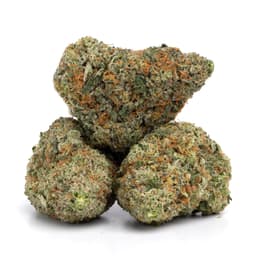 Creamsicle x Z Cake cannabis strain
