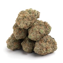 Cringer's Cookies cannabis strain