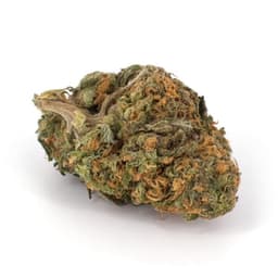 Ultimate Indica cannabis strain