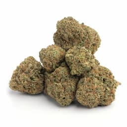 Cuvee Cookies cannabis strain