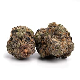 DJ Short Blueberry cannabis strain