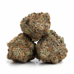 DNA Cake cannabis strain
