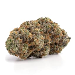 Sour Power OG cannabis strain