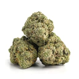 Darkwood cannabis strain