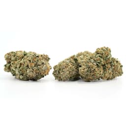 Dawgmo Cookies cannabis strain
