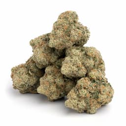 Death Star OG cannabis strain