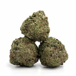 Deep Bubba Kush cannabis strain