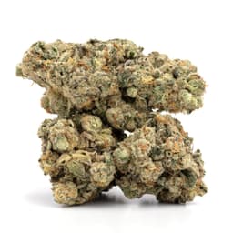 Desert Diesel cannabis strain