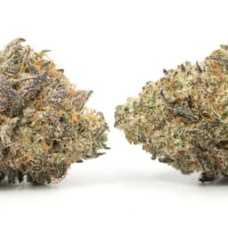 Designer OG cannabis strain